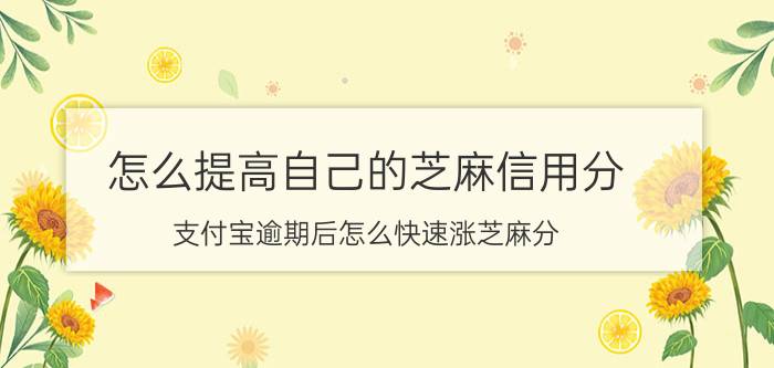 怎么提高自己的芝麻信用分 支付宝逾期后怎么快速涨芝麻分？